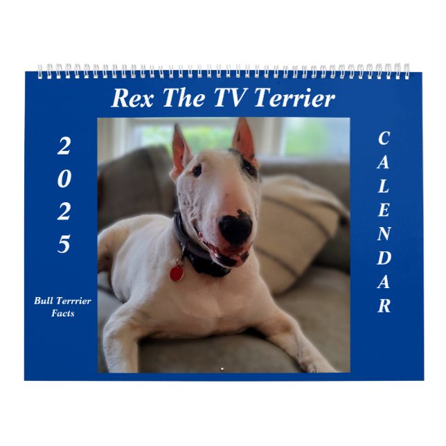 Rex The TV Terrier 2025 Bull Terrier Facts Calenda Kalender (Omslag)