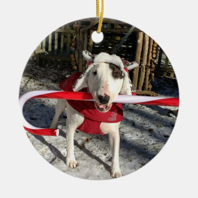 Rex TV Terrier-julprydnaden Candy cane Julgransprydnad Keramik (Framsidan)