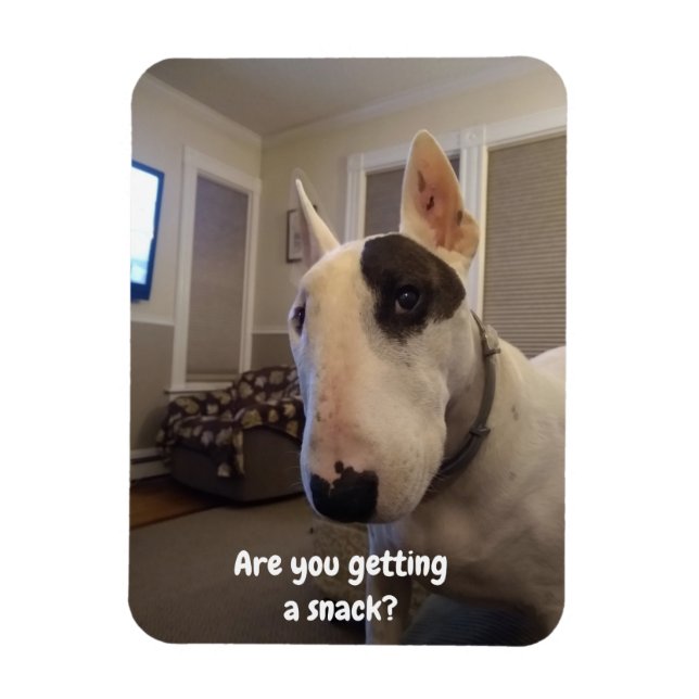 Rex TV Terrier-kylare Magnet (Vertikal)