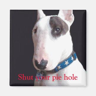 Rex TV Terrier stänger av din kvadratmagne paj hål Magnet