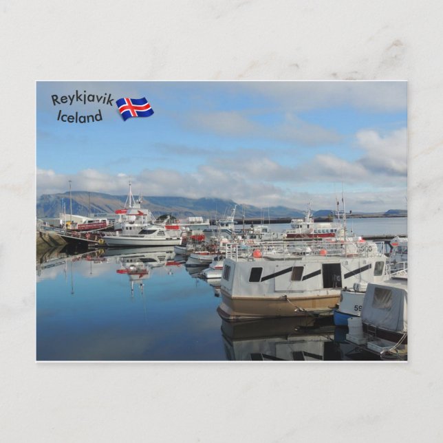 Reykjavik Harbour, Islandet Vykort (Framsida)