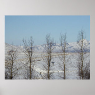 Reykjavik-Islandet Poster