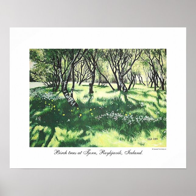 Reykjavik-Islandets landskapskonst av Pola.B.Alex Poster (Framsidan)