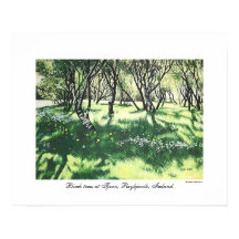 Reykjavik-Islandets landskapskonst av Pola.B.Alex