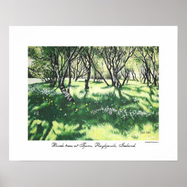 Reykjavik-Islandets landskapskonst av Pola.B.Alex Poster