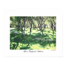 Reykjavik-Islandets landskapskonst av Pola.B.Alex