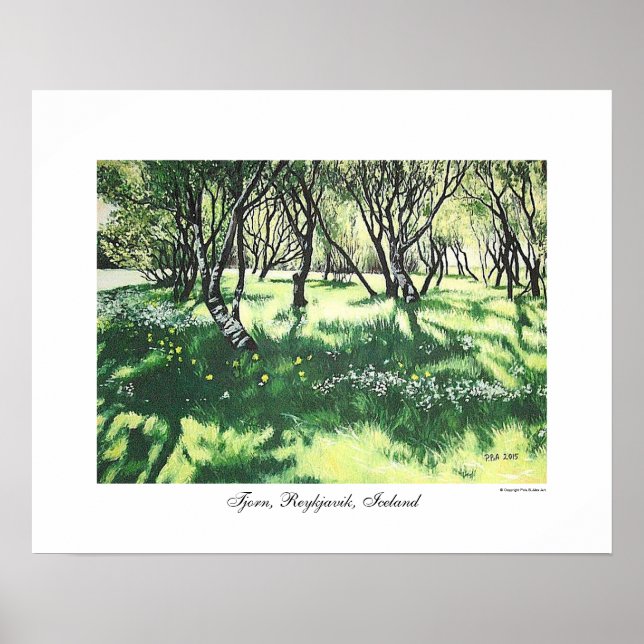 Reykjavik-Islandets landskapskonst av Pola.B.Alex Poster (Framsidan)