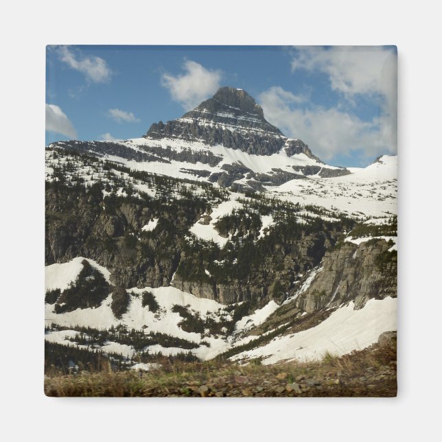 Reynolds Mountain från Logan Pass på Glacier Park Magnet (Framsidan)