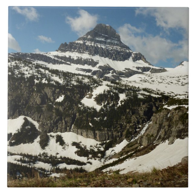 Reynolds Mountain från Logan Pass vid Glacier Park Kakelplatta (Framsidan)