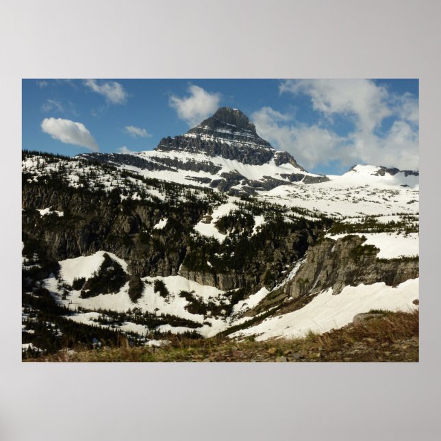 Reynolds Mountain från Logan Pass vid Glacier Park Poster (Framsidan)