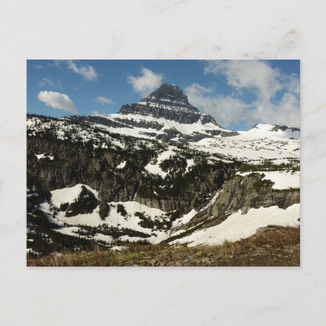Reynolds Mountain från Logan Pass vid Glacier Park Vykort (Framsida)