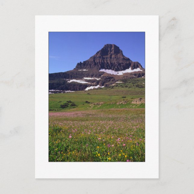 Reynolds Mountain Vykort (Framsida)