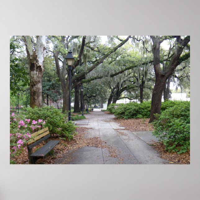 Reynolds Square, Savannah Georgia Poster (Framsidan)