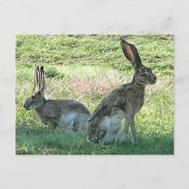 RHC-vykort Vykort (Framsida)