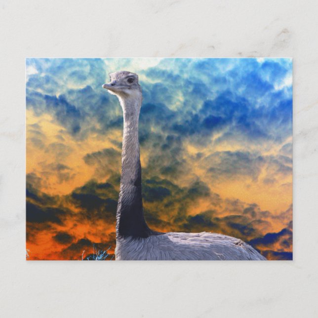 Rhea på Red Stormy Himlar Vykort (Framsida)