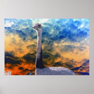 Rhea på Storm Cloud Himlar Poster