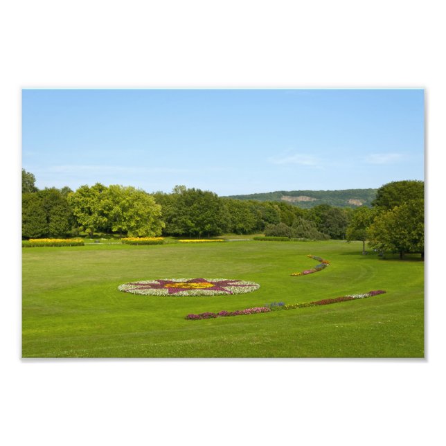 Rheinaue Park i Bonn Photo Print Fototryck (Framsidan)