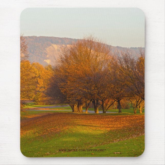 Rheinaue Park Musmatta (Framsidan)