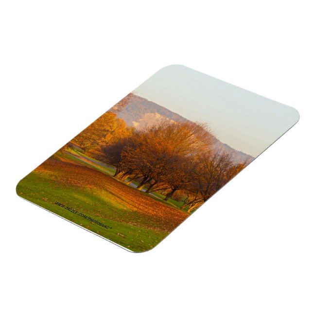 Rheinaue Park Premium Magnet (Vänstra Sidan)
