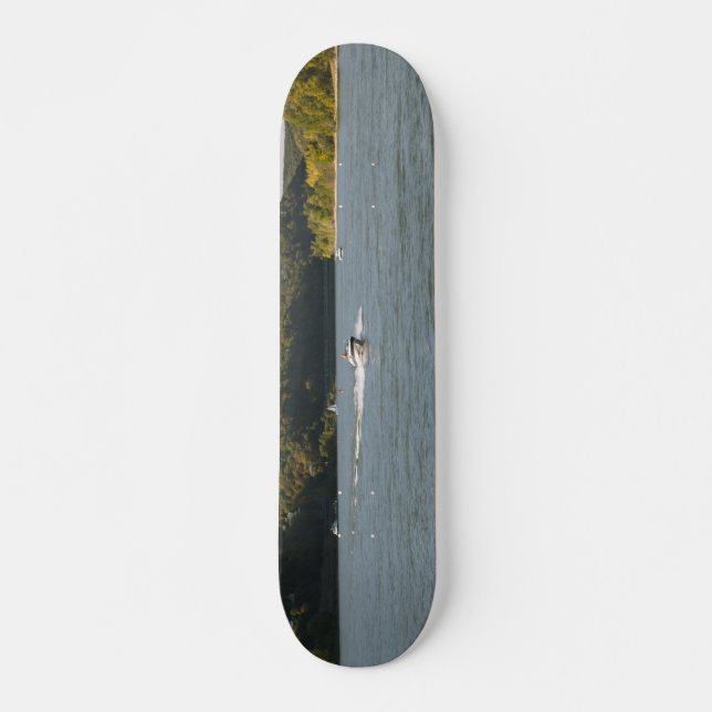 Rhenfloden Skateboard Bräda 20 Cm (Framsida)