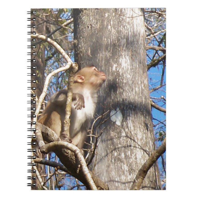 rhesus macaque apa tittar upp anteckningsbok (Framsidan)