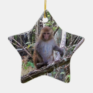 rhesus macaque monkey julgransprydnad keramik