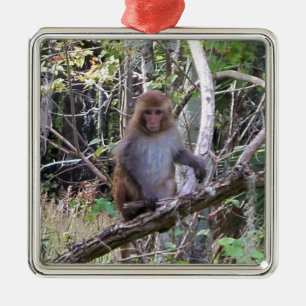rhesus macaque monkey julgransprydnad metall