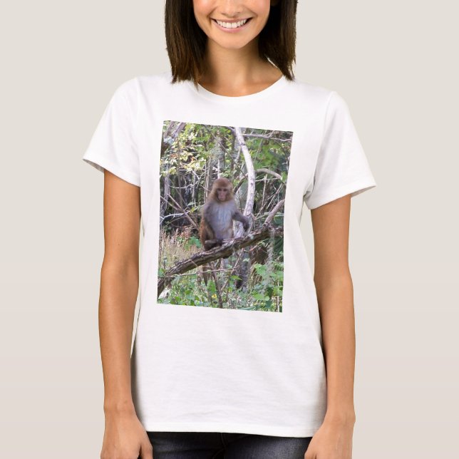 rhesus macaque monkey tee (Framsida)