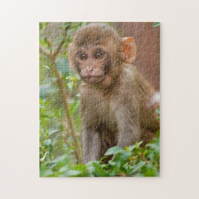 Rhesusapa baby, Monkey Temple, Jaipur Pussel (Vertikal)