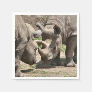 Rhinamic duo pappersservett