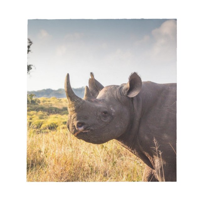 Rhino Anteckningsblock (Framsida)