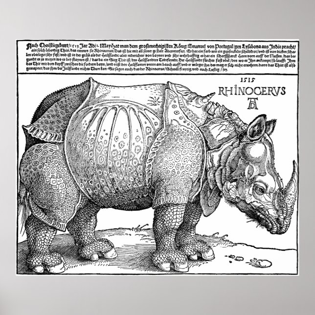 Rhino av Albrecht Durer Poster (Framsidan)