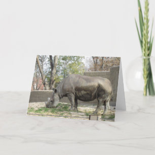 Rhino Birthday Card Kort