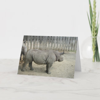 Rhino Birthday Card! Kort