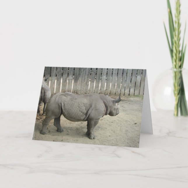 Rhino Birthday Card! Kort (Framsida)