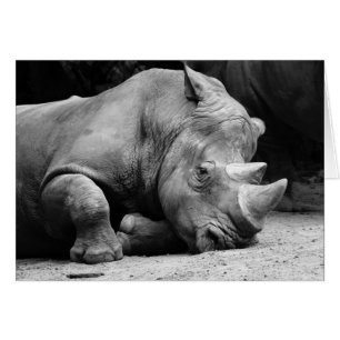 Rhino Black and White Hälsningskort