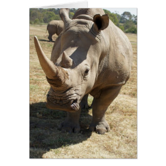 Rhino Charging Hälsningskort