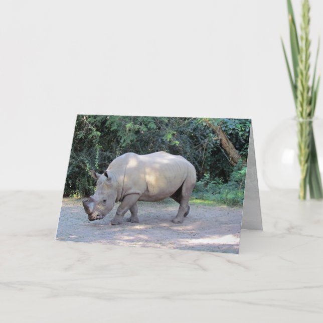 Rhino Greeting Card AK Kort (Framsida)