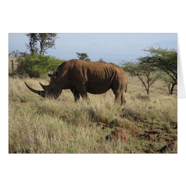 Rhino Hälsningskort (Framsidan Horizontal)