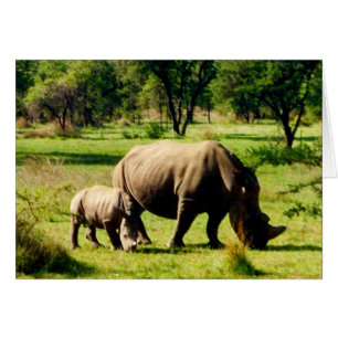 rhino kärlek hälsningskort