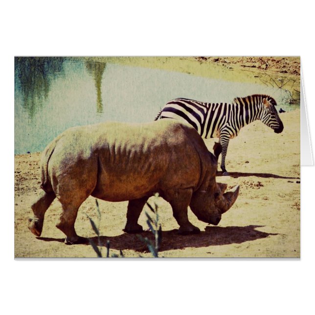 Rhino och Zebra Hälsningskort (Framsidan Horizontal)