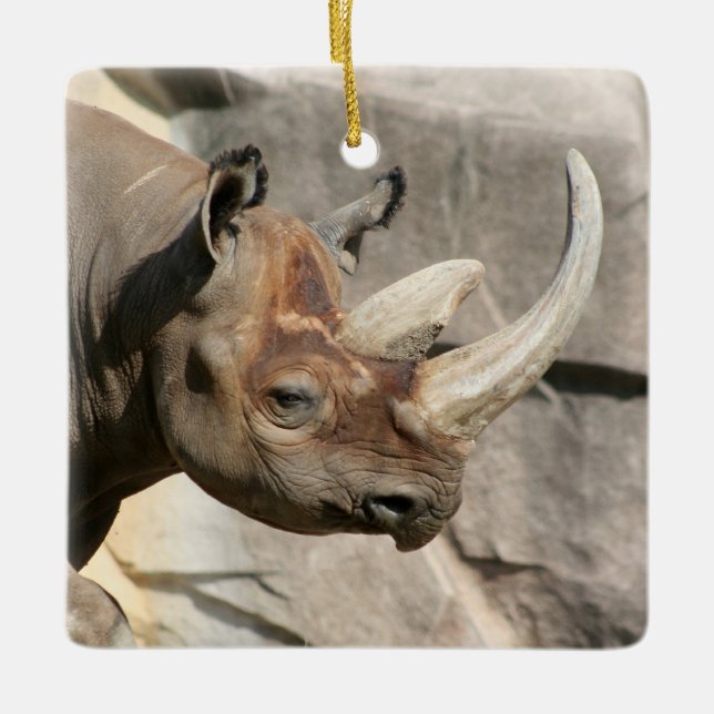 Rhino Ornament (Framsida)
