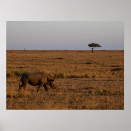 Rhino på Dusk - Poster av afrikansk Wildlife Wall 