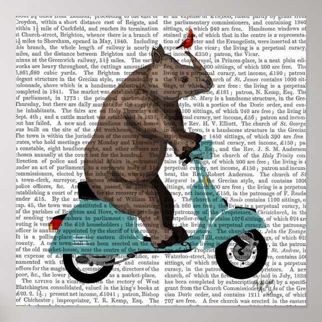Rhino på Moped Poster (Framsidan)