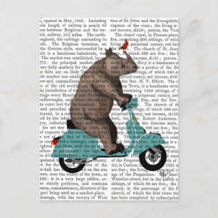 Rhino på Moped Vykort