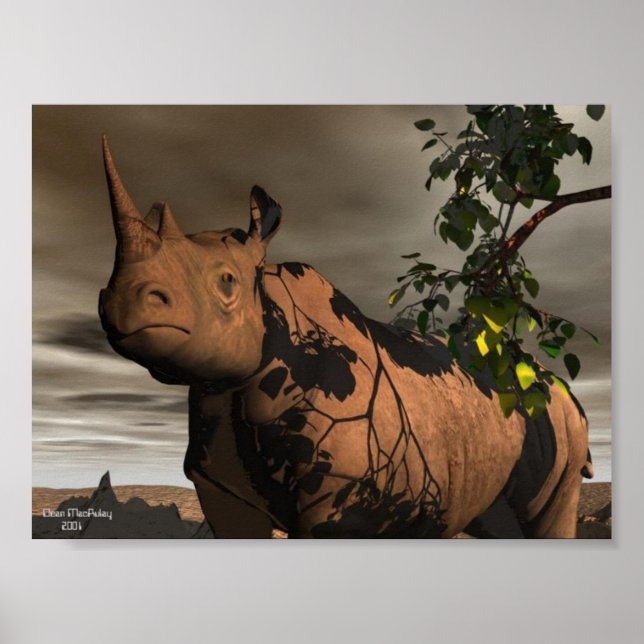 Rhino Poster (Framsidan)