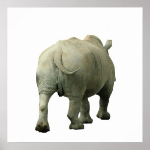 Rhino Poster