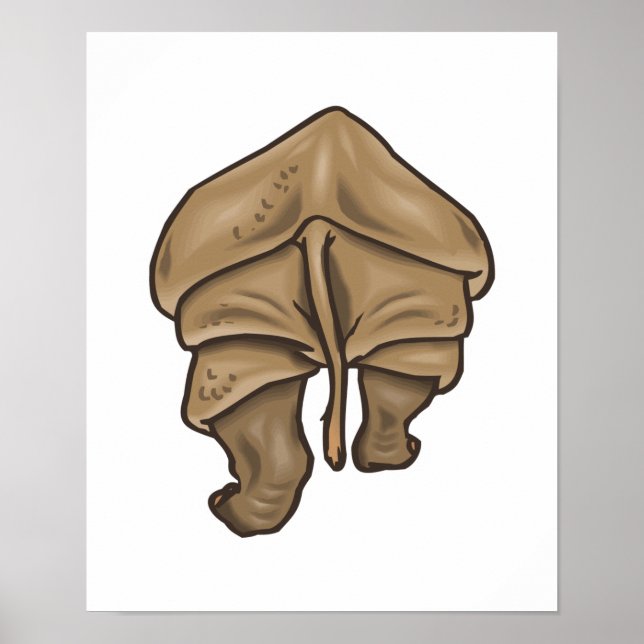 rhino-rumpa poster (Framsidan)