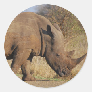 Rhino Runt Klistermärke