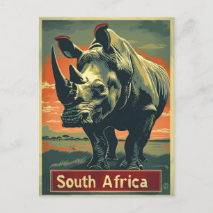 Rhino South Afrika Vintage Vykort